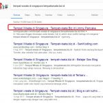 Juara 1 Kontes SEO di Tempatwisata.biz.id