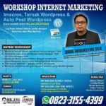 workshop solo