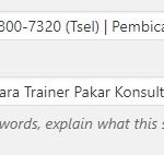 Belajar SEO WordPress