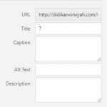 belajar seo wordpress