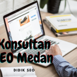konsultan seo medan