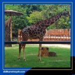 MoreDetails at – 2023-06-18T010250.821